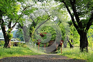 Walkway to Chureito Pagoda, Arakura Sengen Shrine