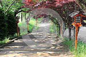 Walkway to Chureito Pagoda, Arakura Sengen Shrine