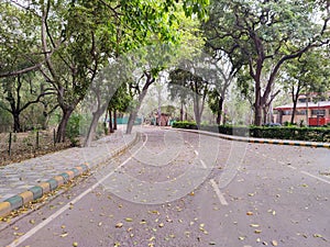 Walkway to Delhi Zoological park surrounded by trees photo