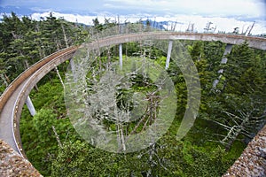 Walkway to the Island in the Sky Clingman's Dome Tower GSMNP