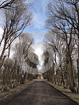 Walkway to the old forgotten home