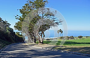 Walkway to Salt Creek Beach Park in Dana Point, California.
