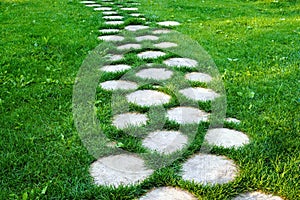 Walkway from tree stumps on green grass in summer sunny day