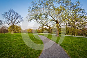 Walkway and trees at Cylburn Arboretum, in Baltimore, Maryland