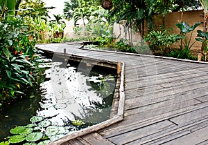 Walkway in the tropical garden 2