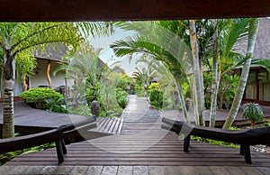 Walkway in tropical garden