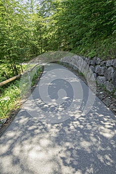 Walkway under trees foliage shade in the park