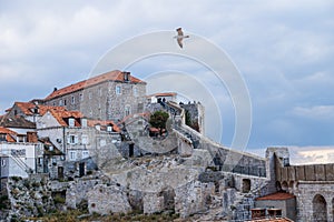 Walkway up to the fortress of Durbrovnik with dramatic cloudscape and gull flying over it, Croatia