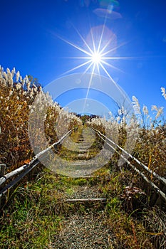 Walkway uphill with sunny blue sky - Senboku, Akita, Japan