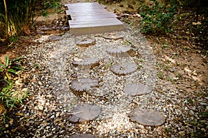 walkway winding in garden