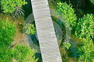 Walkway wood bridge in natural mangrove forest environment at Chanthaburi travel Thailand