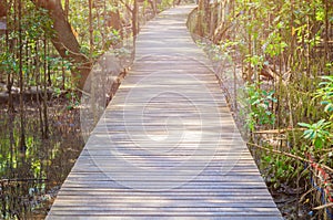 Walkway wood bridge in natural mangrove forest environment at Chanthaburi travel Thailand