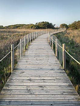 Walkways Barrinha of Esmoriz, situated between the municipalities of Espinho and Ovar, Portugal photo