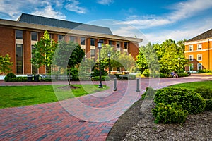 Walkways and buildings at John Hopkins University in Baltimore,