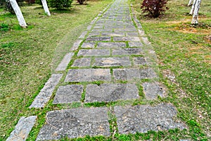 Walkways, concrete slabs lined up in lawns, beautiful designs