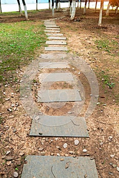 Walkways, concrete slabs lined up in lawns, beautiful designs