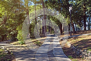 Walkways in park on sunny day. Montenegro, Tivat city, Large Town Park