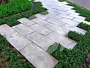 Walkways of parks. Garden path of paving slabs in the garden Floor panels,