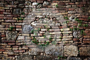 Wall