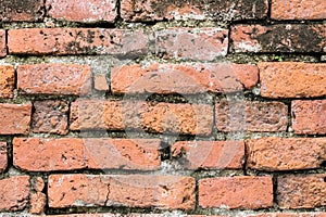 Wall