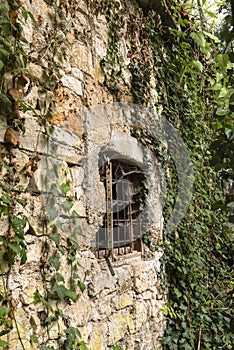 The wall of an abandoned building overgrown with plants and a window with bars and cobwebs