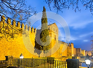 Wall of Alcazar de los Reyes Cristianos