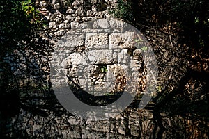 Wall of ancient ruins in the jungle by the lake