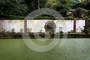 Wall with arched opening in the park with pond covered with green algae