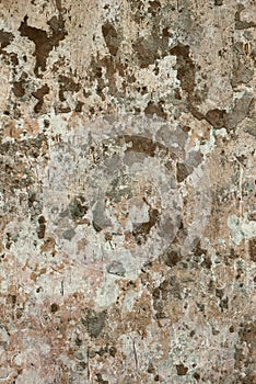 Wall background texture cement peels patches grunge stained rugged look