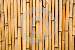 Stěna bambus 