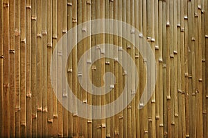 Wall of bamboo strips