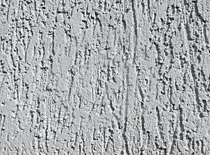 Wall for bark beetle texture background