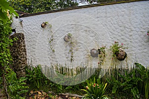 wall with beautiful jars with colorful flowers in garden