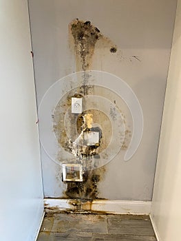A wall behind a refridgerator with mold growing due to a leak in the water line