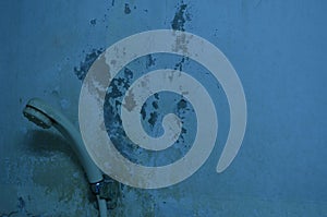 The old Wall, blackgrand.