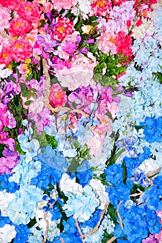 wall of blue and pink flowers, a photo zone