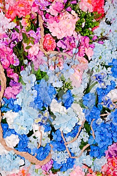 wall of blue and pink flowers, a photo zone