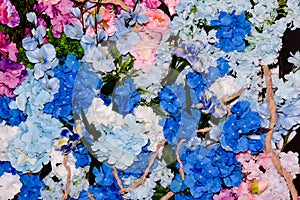 wall of blue and pink flowers, a photo zone