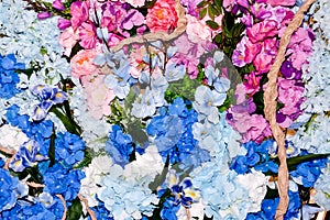 wall of blue and pink flowers, a photo zone