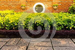 Wall brick and green bush over the ground concrete in the park with the hard sunlight.