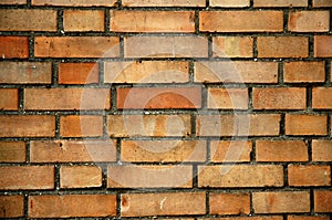 Wall with bricks