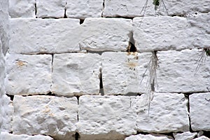 Wall bricks