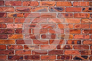 Wall with burned bricks