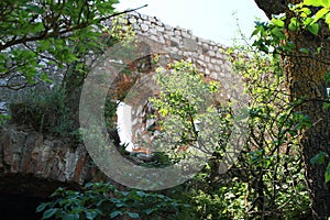 Wall of Castle Devicky on Palava photo