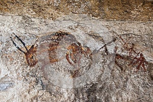 Wall cave with drawings of the primitive person