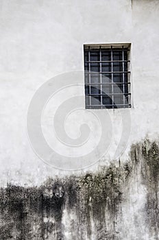 Wall with cell window