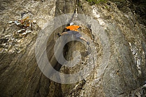 Wall Climber photo
