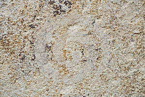 Wall is covered with decorative marble crumbs with white, gray and brown blotches. Facing house with marble plaster with