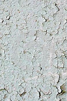 Wall covered with small cracks