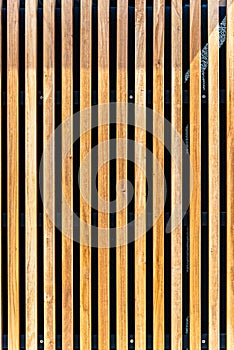 Wall covering with wooden slats. Natural background